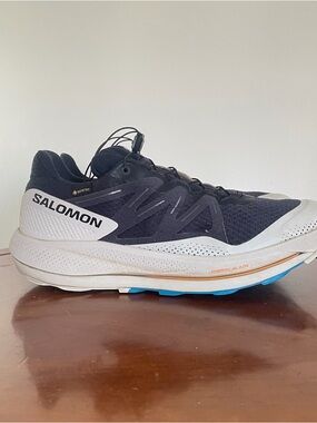 Salomon Pulsar Trail GTX trail Running Shoe